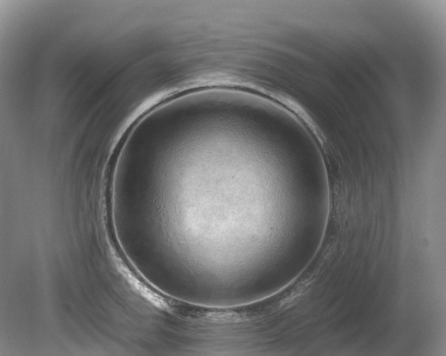 X0000080191142200612081420