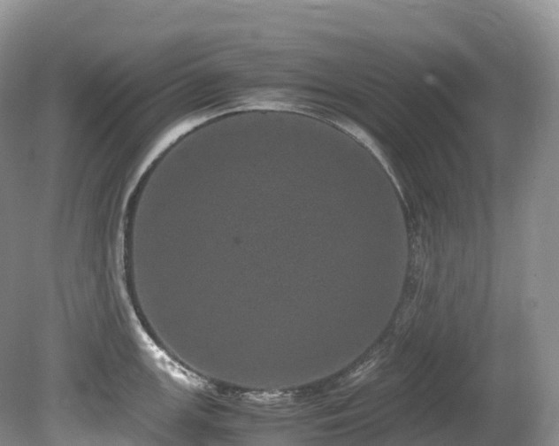X0000080191147200612081420