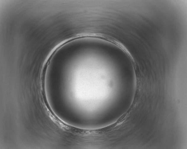 X0000080191148200612081420