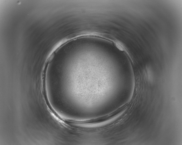 X0000080191151200612081421