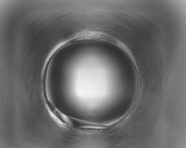 X0000080191152200612081421