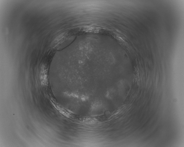 X0000080191154200612081420