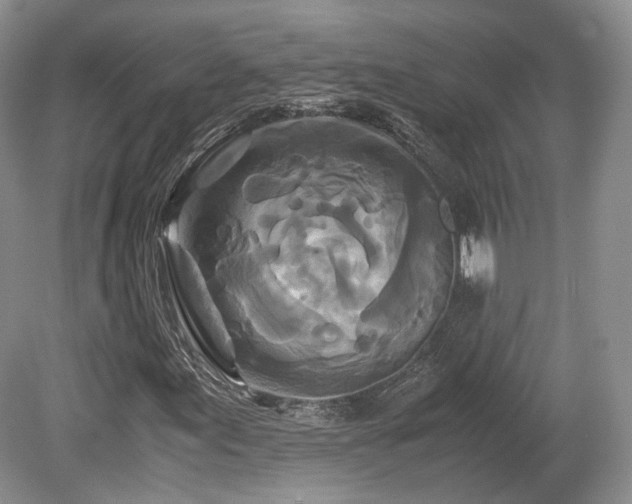 X0000080191155200612081420
