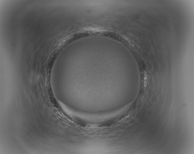 X0000080191157200612081420