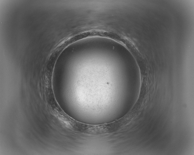 X0000080191159200612081420