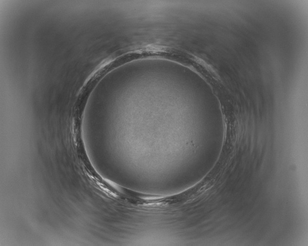 X0000080191160200612081420