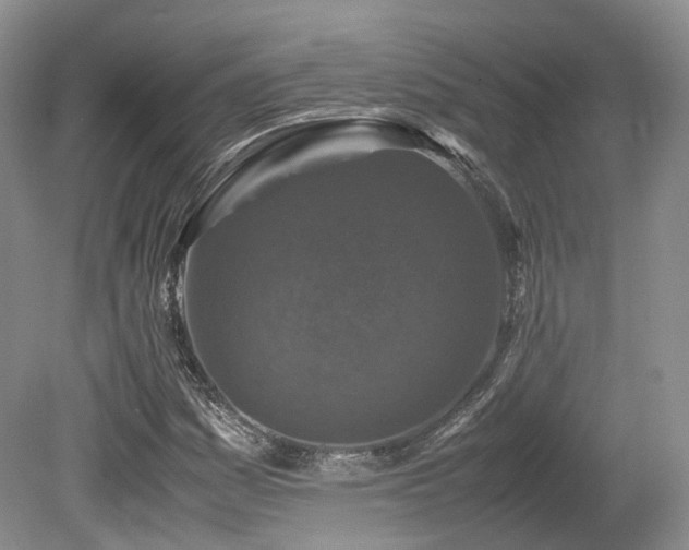 X0000080191161200612081420