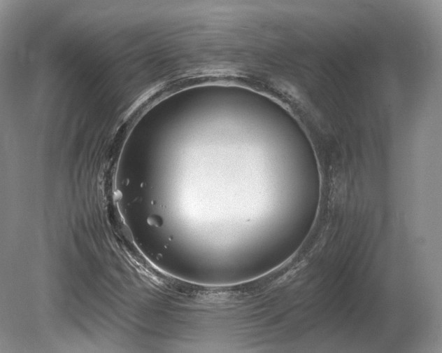 X0000080191162200612081420