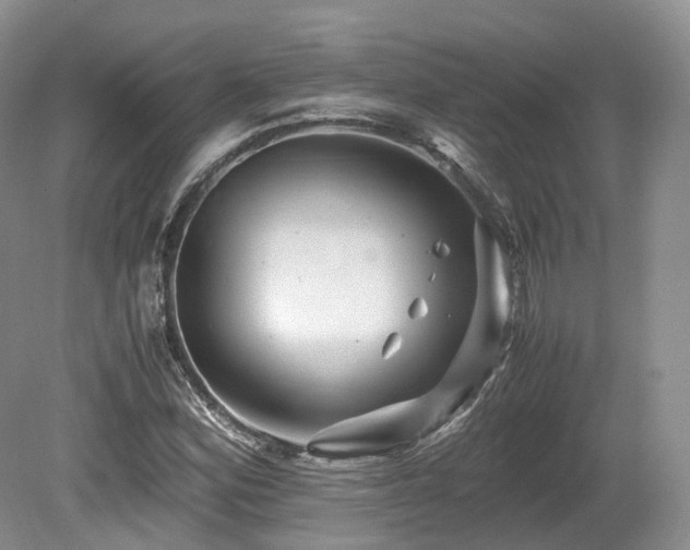 X0000080191164200612081420