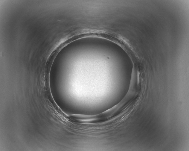 X0000080191165200612081420
