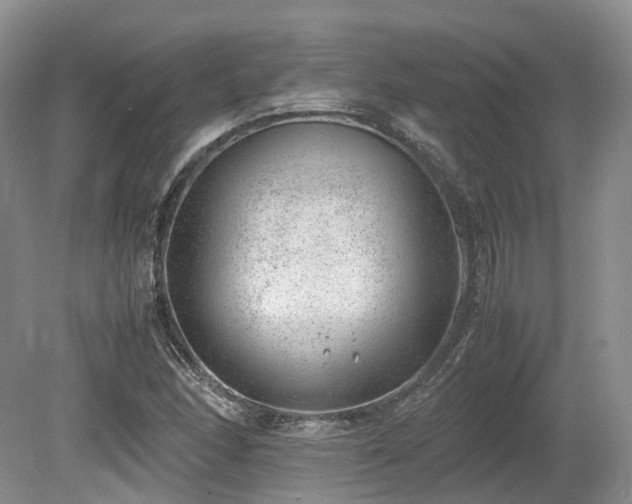 X0000080191166200612081419