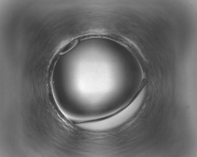 X0000080191168200612081419