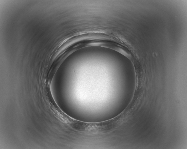 X0000080191169200612081419
