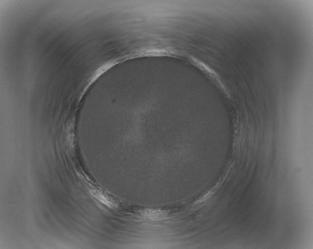 X0000080191170200612081419