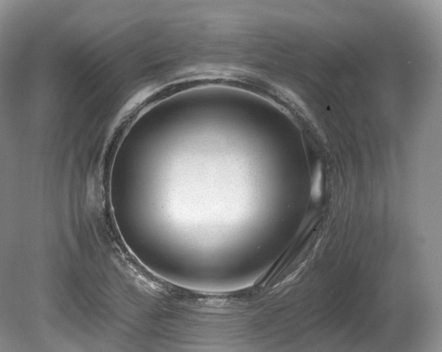 X0000080191172200612081419