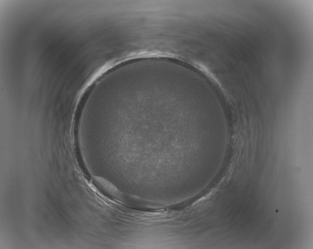 X0000080191173200612081419