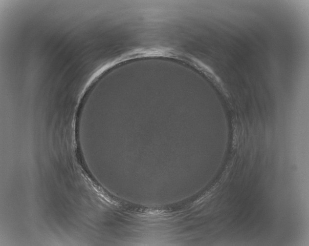 X0000080191174200612081419