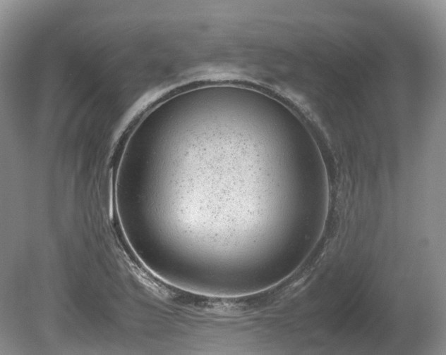 X0000080191175200612081419