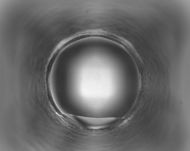 X0000080191176200612081419