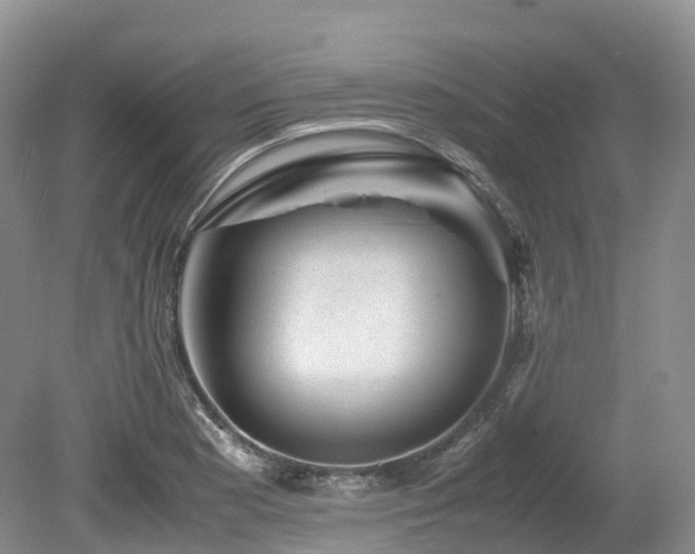 X0000080191177200612081419