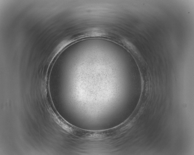 X0000080191178200612081419