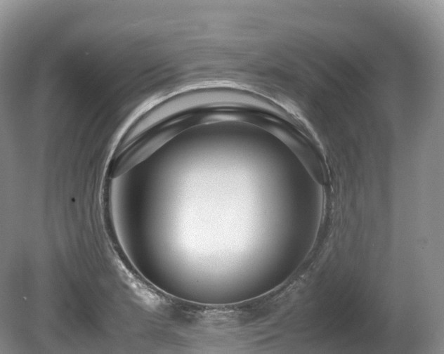 X0000080191181200612081419