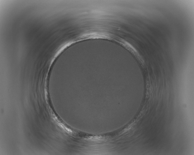 X0000080191182200612081419