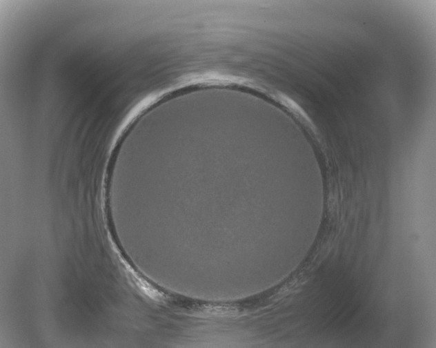 X0000080191183200612081419