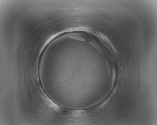 X0000080191184200612081419