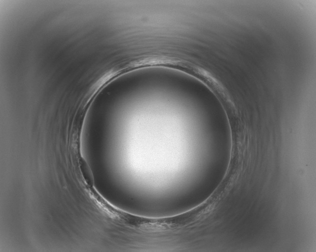 X0000080191185200612081419
