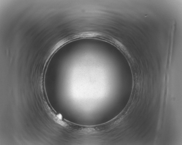 X0000080191186200612081419