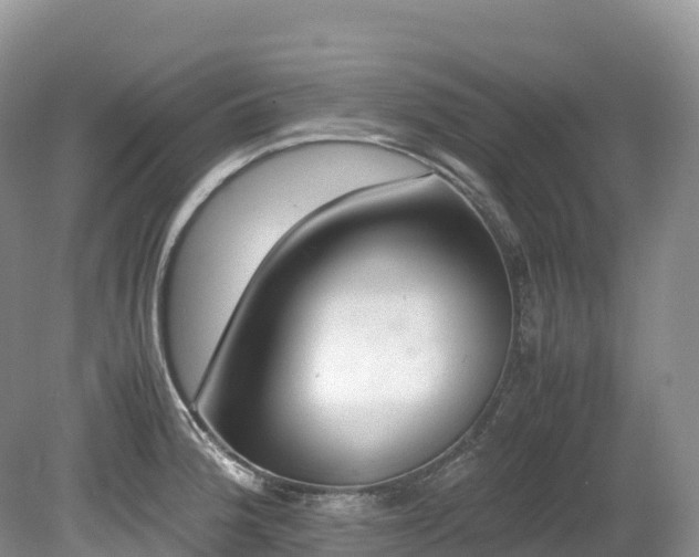 X0000080191188200612081419