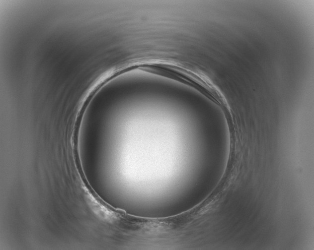 X0000080191189200612081419