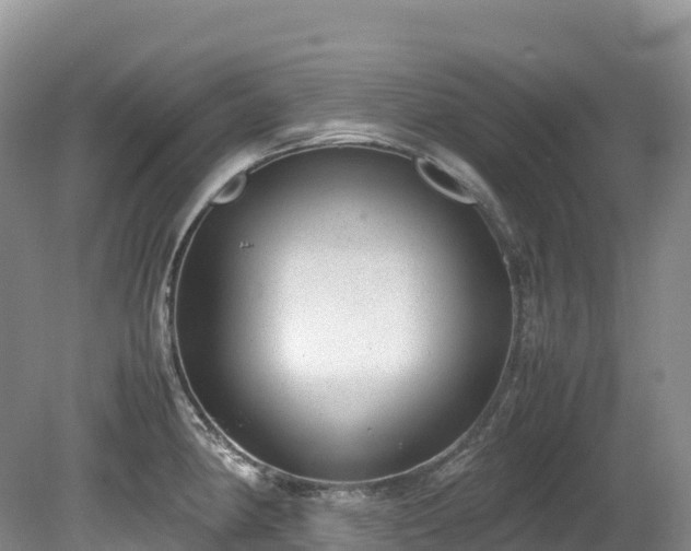 X0000080191190200612081419
