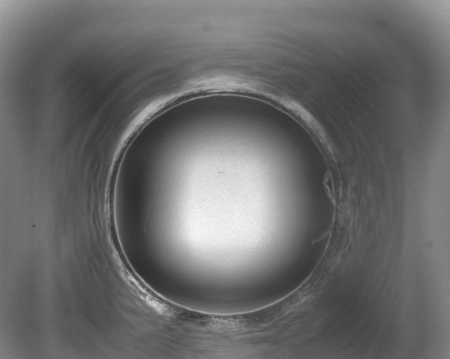 X0000080191191200612081419