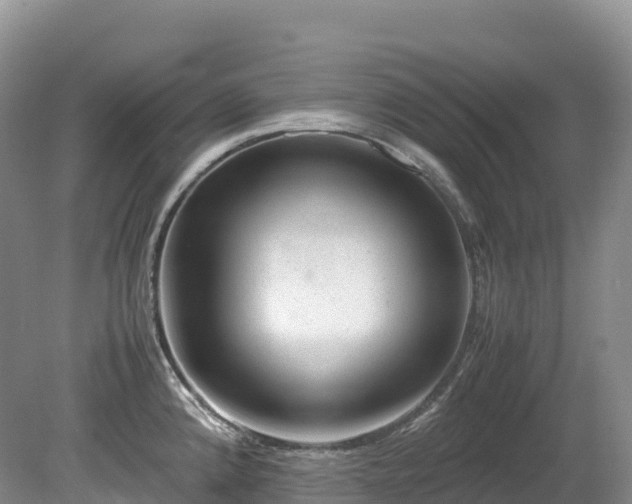 X0000080191192200612081419