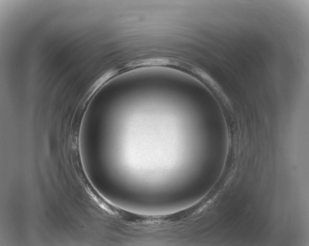 X0000080191193200612081419