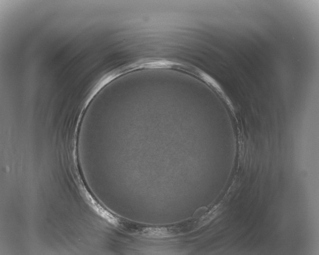 X0000080191194200612081419