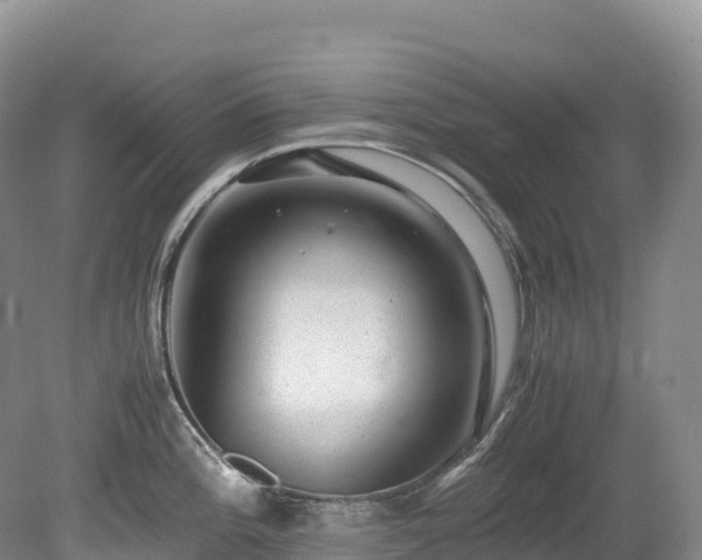 X0000080191196200612081419