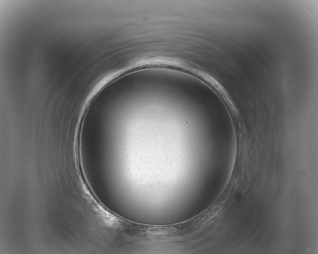 X0000080191199200612081419