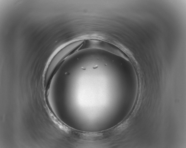 X0000080191200200612081419
