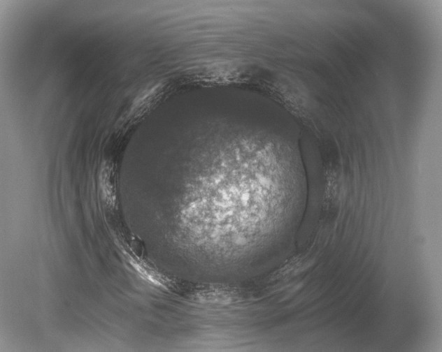 X0000080191202200612081418