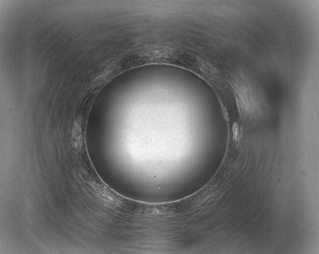 X0000080191203200612081418