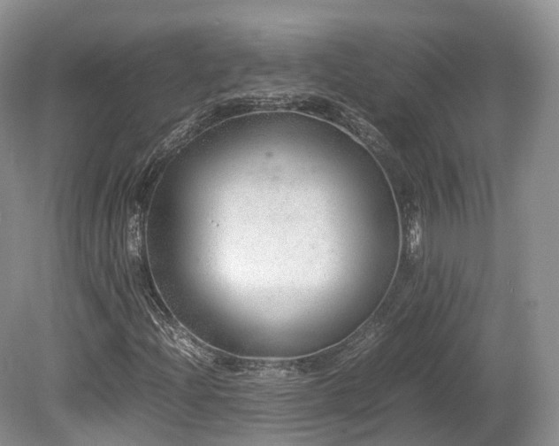X0000080191204200612081418