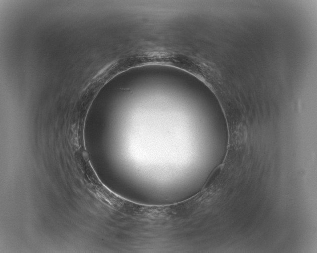 X0000080191205200612081418