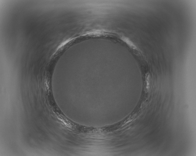 X0000080191206200612081418
