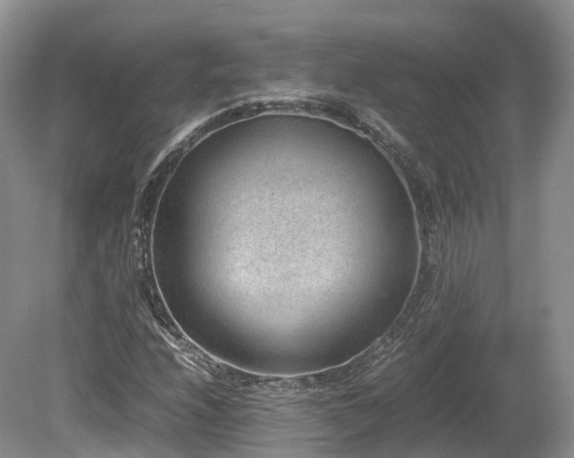 X0000080191208200612081418