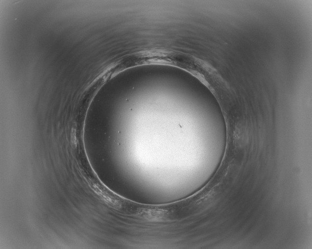 X0000080191209200612081418
