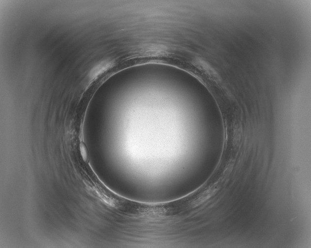 X0000080191210200612081418