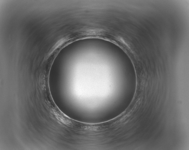 X0000080191211200612081418